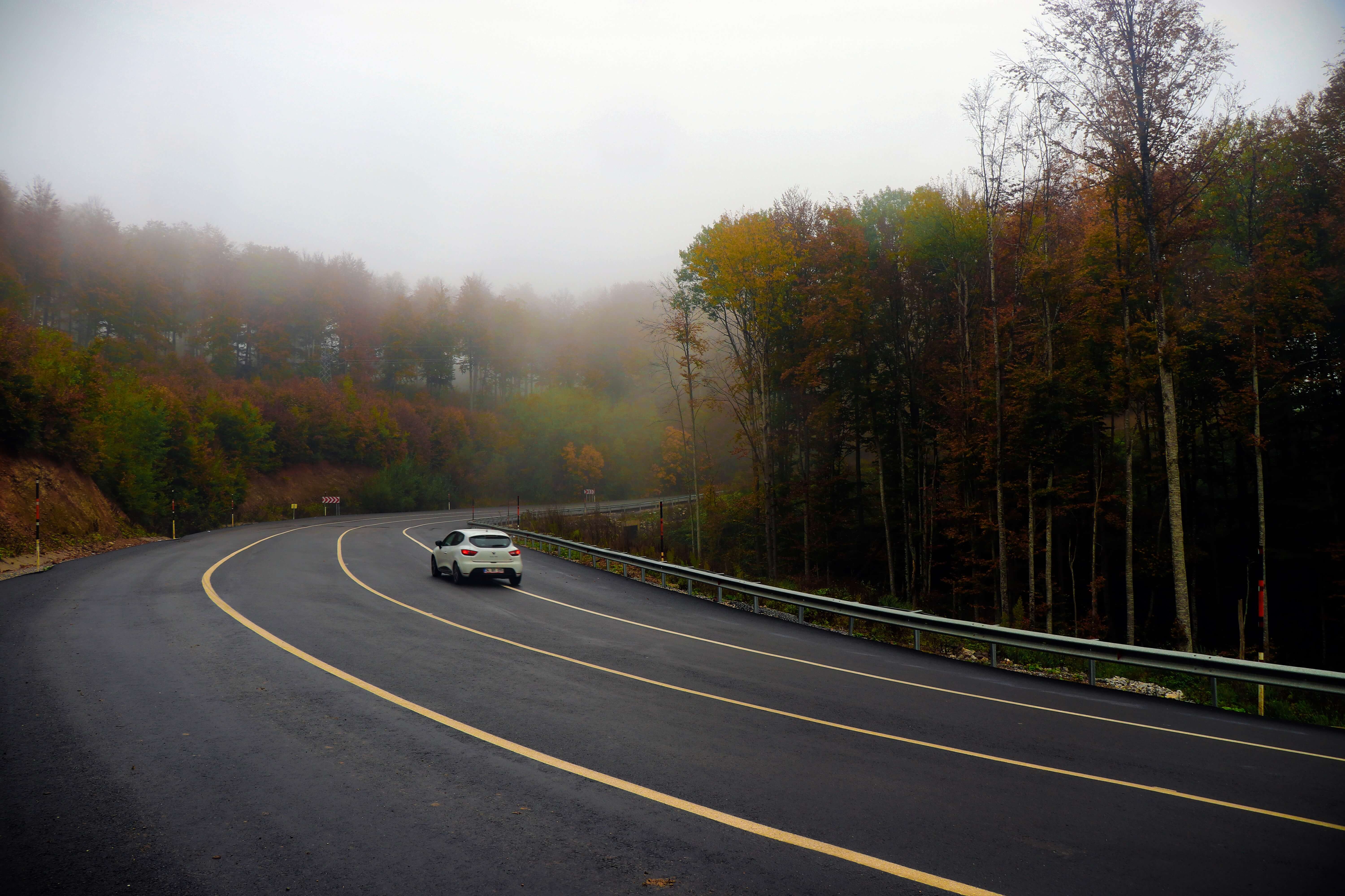 כל העובדות על ביטוח מקיף לרכב - תמונה מייצגת